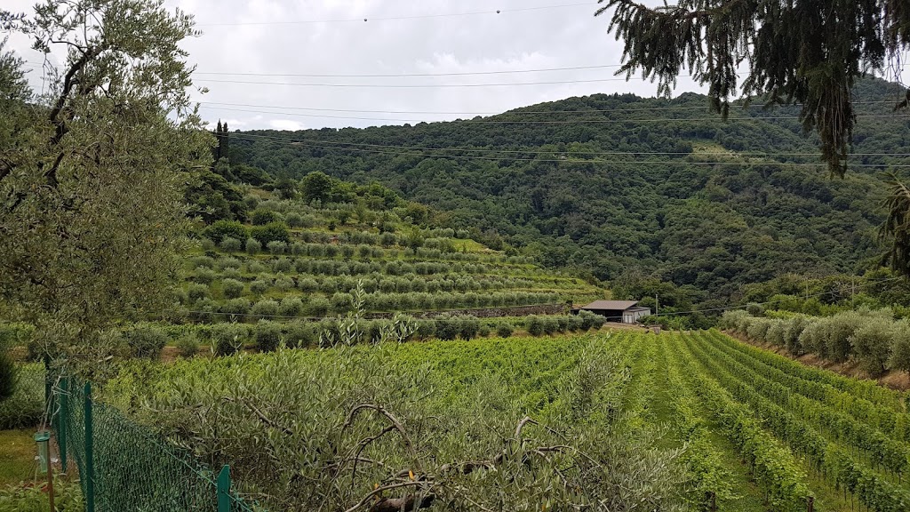 Massussi, 5 juli 2018