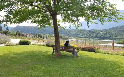 Pravis, Naran 9 juli 2018