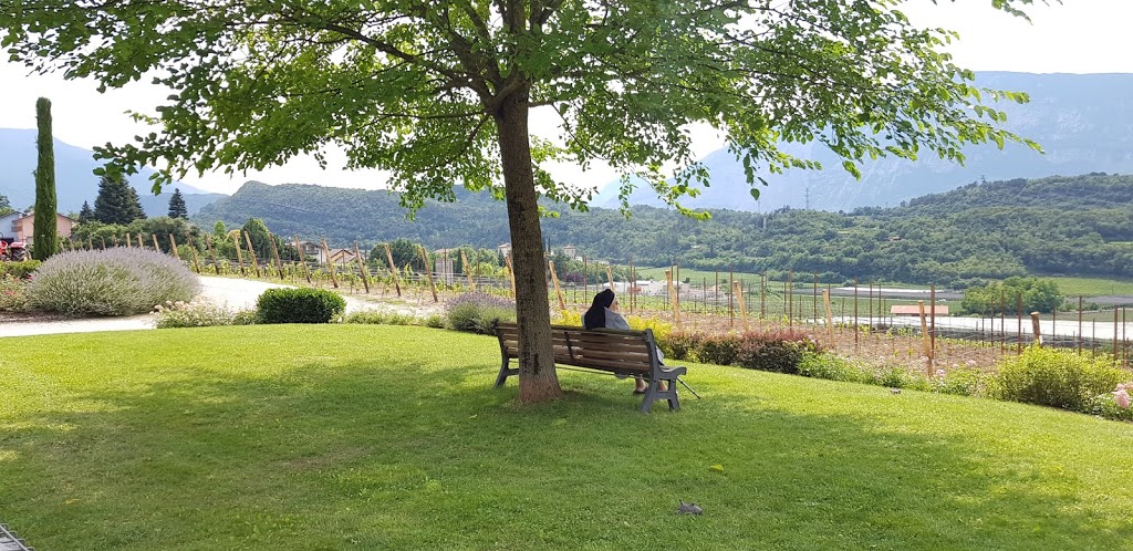 Pravis, Naran 9 juli 2018