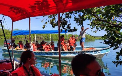 Sengångare i Bocas Del Toro