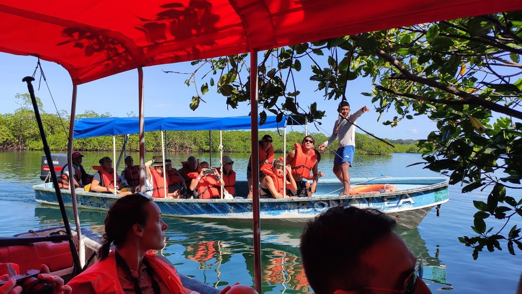 Sengångare i Bocas Del Toro