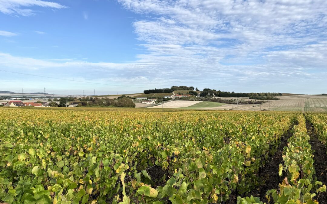 Larnaudie-Hirault